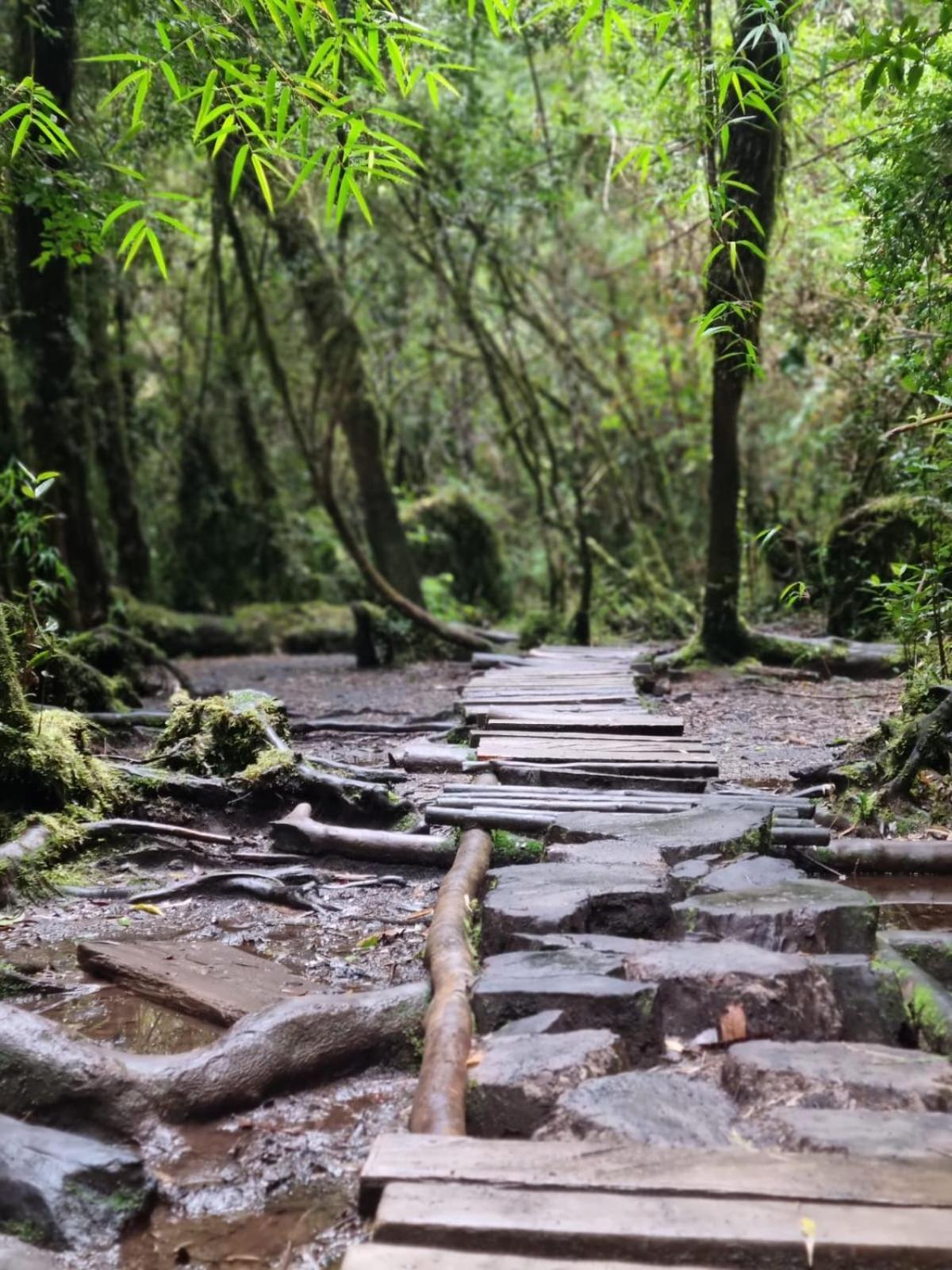 Сasa de vacaciones Ensenada, - 1 Ambiente Puerto Varas